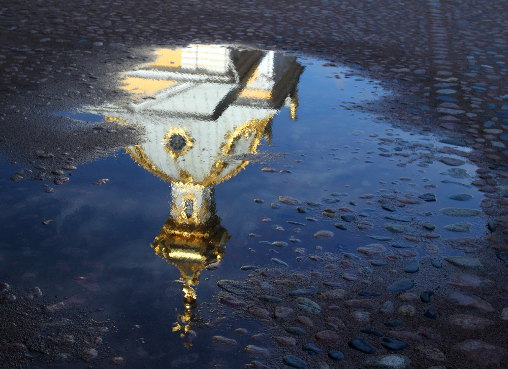 golden reflection photo