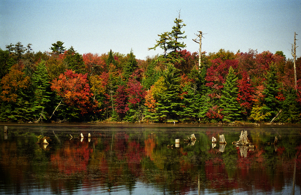 adironcak fall lake