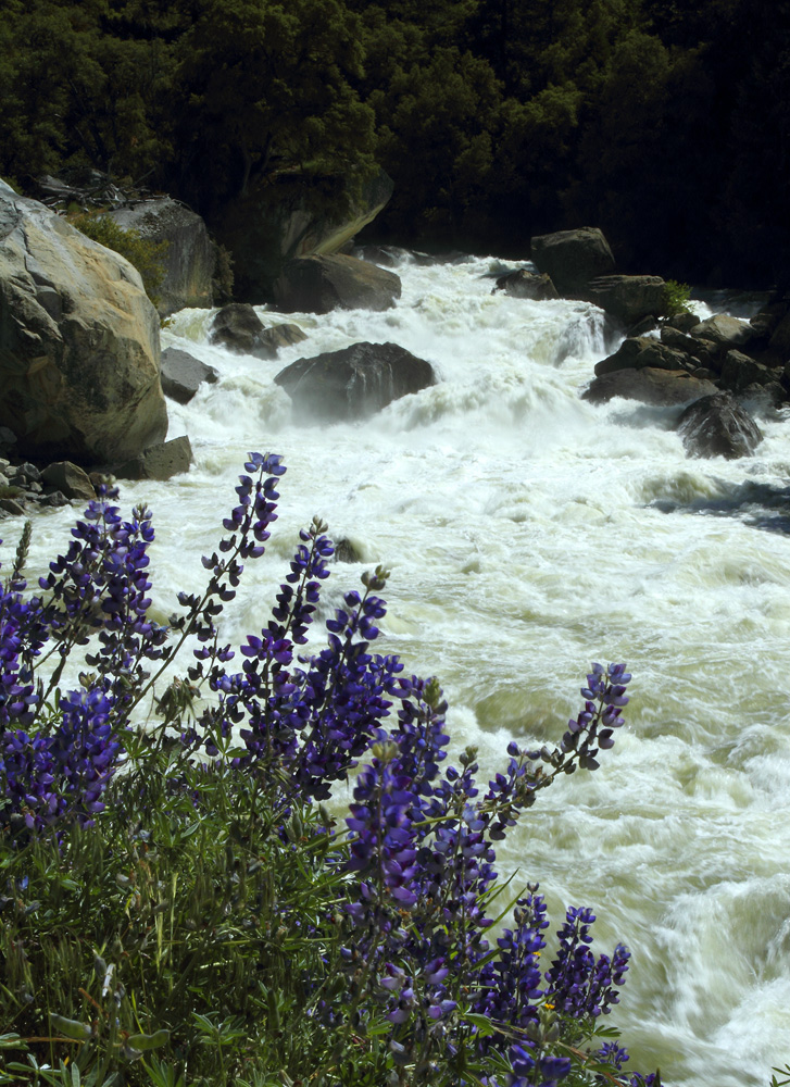 merced river photo