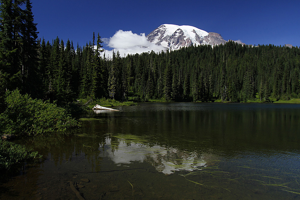 mt rainier lake reflection