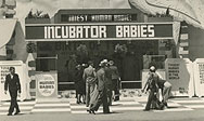 incubator babies