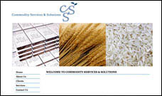 Designwest Graphics Website Consulting