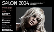 Designwest Hair Salon Website